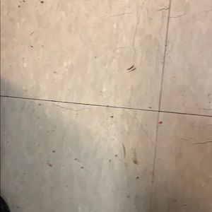 Meet your Posher, Rajibur